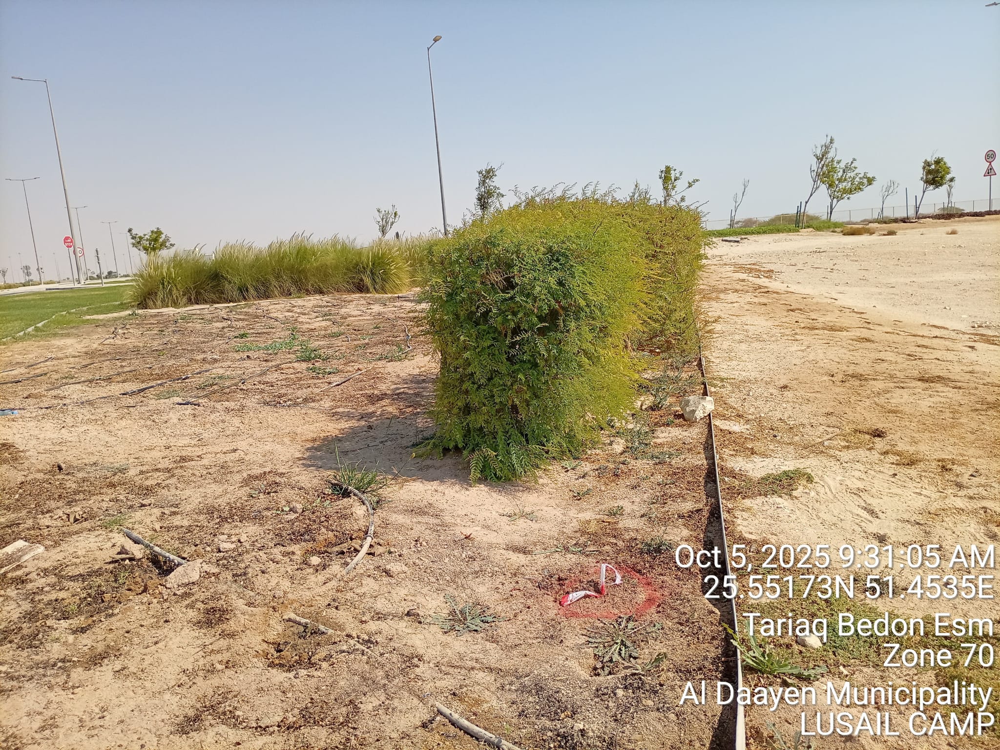 Project Image 31